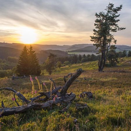 Fewo Poenblick Willingen  Kültér fotó