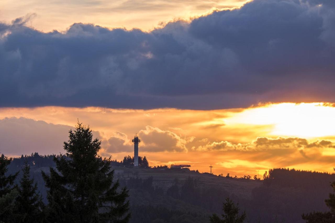 Fewo Poenblick Willingen  Kültér fotó