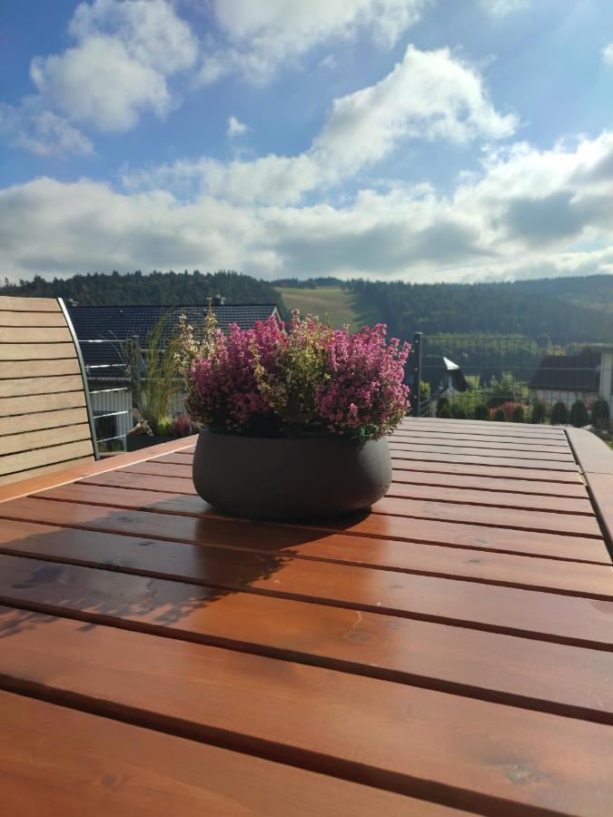 Fewo Poenblick Willingen  Kültér fotó