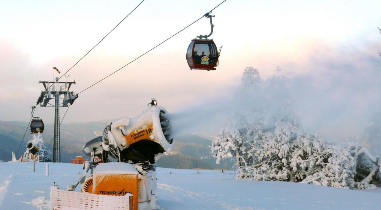 Fewo Poenblick Willingen  Kültér fotó